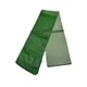 Pesleya & Saplin_Green__OmenSilks