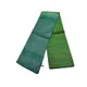 Pine & Pesleya_Green__OmenSilks