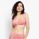 PINK__LADYLAND INCORPORATION