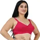 MAGENTA__LADYLAND INCORPORATION