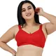 RED__LADYLAND INCORPORATION