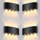 ‎warm white__GROEIEN