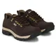 Brown__Shoe Island