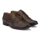 Brown__Shoe Island