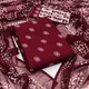 Brown & White__Anand Saree