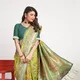 Parrot Green__RAJGHARANA