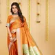 Orange__RAJGHARANA