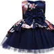 BLUE__Netra creation