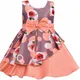 ORANGE__Netra creation