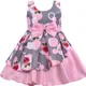 Pink__Netra creation