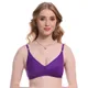 Purple__Ansari Hosiery