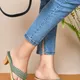 Olive Green__Padvesh