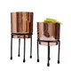 Copper__MY GIFTING BOX