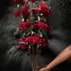 Red, Pack of 10__Supreme crafts