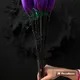 Violet, Pack of 10__Supreme crafts