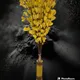 Yellow, Pack of 10__Supreme crafts