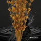 Golden, Pack of 10__Supreme crafts