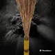 Golden, Pack of 5__Supreme crafts
