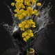 Yellow, Pack of 10__Supreme crafts