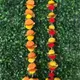 Orange & Yellow And Red & Yellow__Nutts
