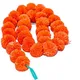 Red / White / Orange / Yellow / Blue__Nutts
