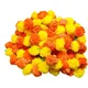 Orange & Yellow / Pink & Yellow__Nutts