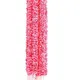 Pink__Nutts