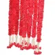 Red__Nutts