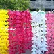 Blue / Dark Pink / Green / Peach / Pink / White / Yellow__Nutts