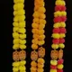 Yellow / Orange / Multicolour__Nutts