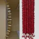 Red & Golden__Nutts