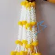 Yellow__Nutts