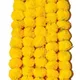 Blue / White / Red / Yellow / Orange / Multicolour__Nutts
