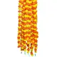 Blue / White / Red / Yellow / Orange / Multicolour__Nutts