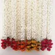 Red / Yellow / Orange / Pink__Nutts