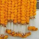 Blue / White / Red / Yellow / Orange / Multicolour__Nutts