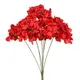 Red__Nutts