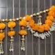 Yellow , Orange__Nutts