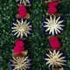 Blue/Orange/Pink/Green__Nutts