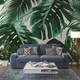 Smooth__Wall Studio