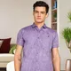 Egg Plant__Kuons Avenue