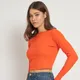 Orange__anvibys