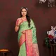 Parrot__Vedant Vastram