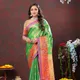 Parrot__Vedant Vastram
