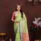 Parrot__Vedant Vastram