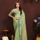 Parrot__Vedant Vastram