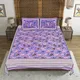 Purple__Frionkandy Living 