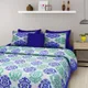 Blue__Frionkandy Living 