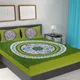 Green__Frionkandy Living 