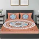 Brown__Frionkandy Living 